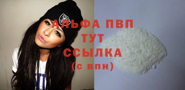 стафф Новодвинск