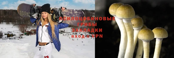 стафф Новодвинск