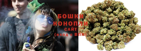 первитин Новозыбков