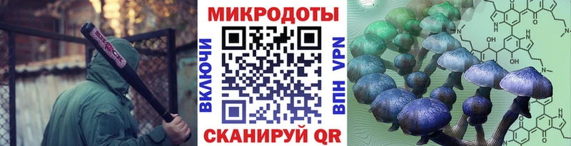 Галлюциногенные грибы Psilocybe  продажа наркотиков  Саров 